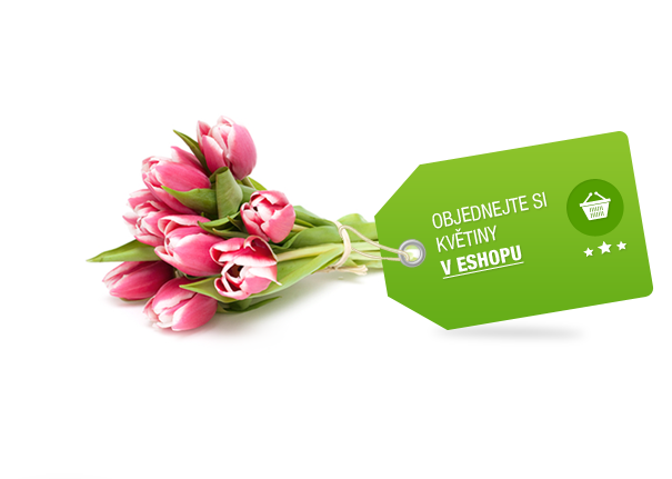 Navtivte n nov e-shop<br />

Orlice park Shopping - Albert Hradec Krlov