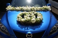 Svatební výzdoba aut